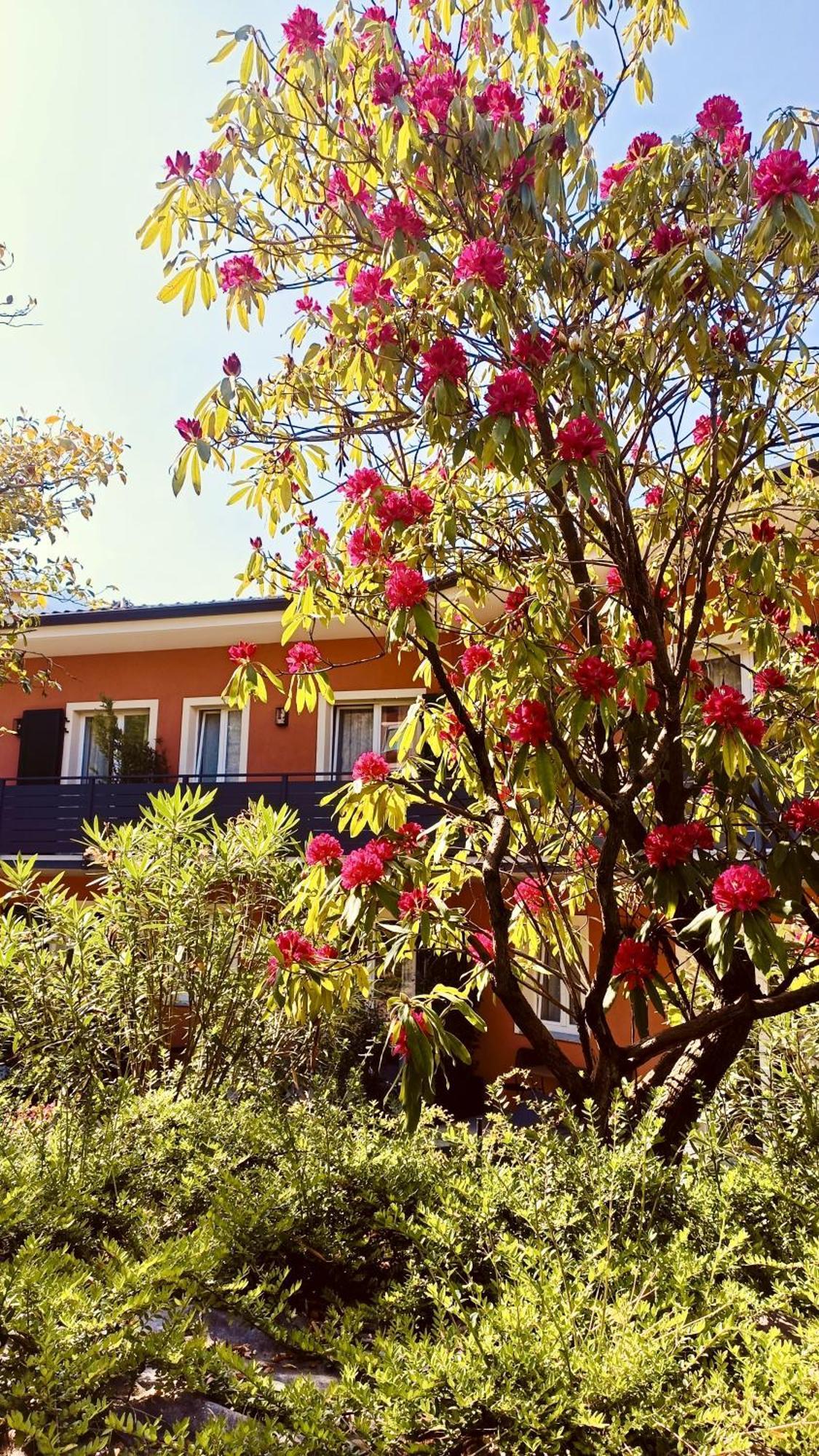 Hotel Villa Cuserina Cannobio Ngoại thất bức ảnh